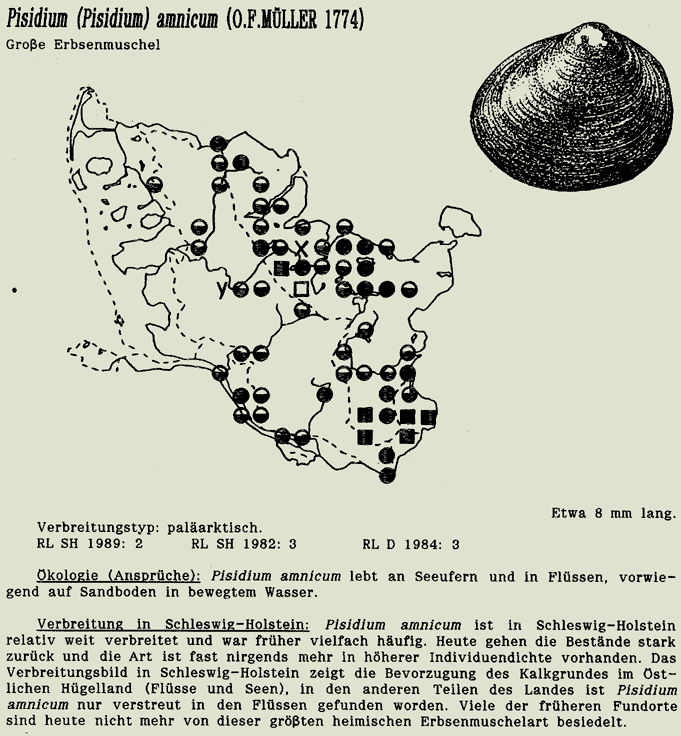 map c LANU-Schleswig-Holstein       drawing  c Projektgruppe Molluskenkartierung 