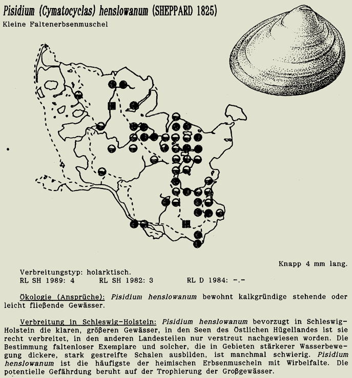 map c LANU-Schleswig-Holstein       drawing  c Projektgruppe Molluskenkartierung 