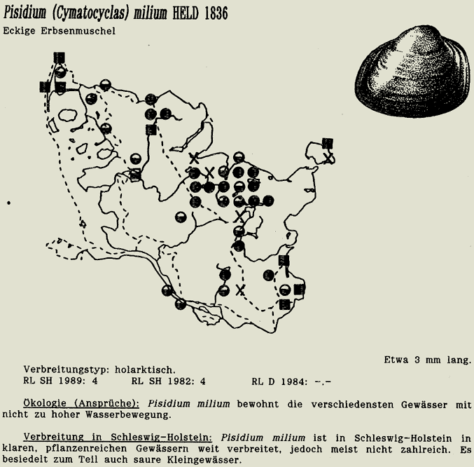 map c LANU-Schleswig-Holstein       drawing  c Projektgruppe Molluskenkartierung 