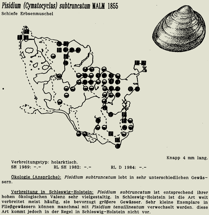 map c LANU-Schleswig-Holstein       drawing  c Projektgruppe Molluskenkartierung 