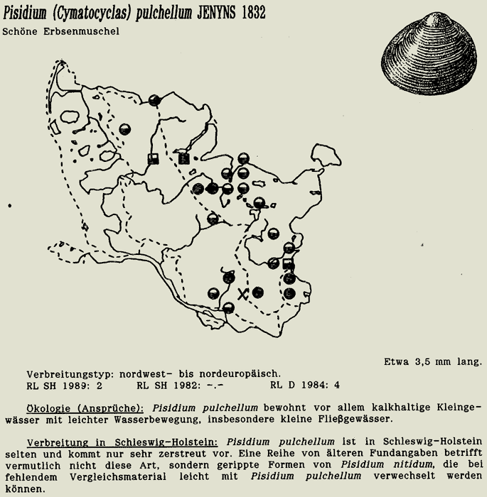 map c LANU-Schleswig-Holstein       drawing  c Projektgruppe Molluskenkartierung 