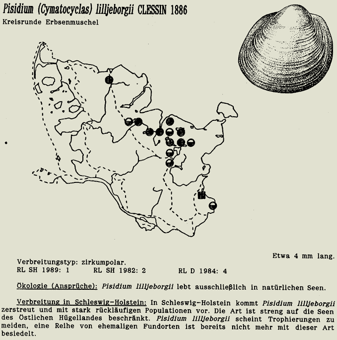 map c LANU-Schleswig-Holstein       drawing  c Projektgruppe Molluskenkartierung 