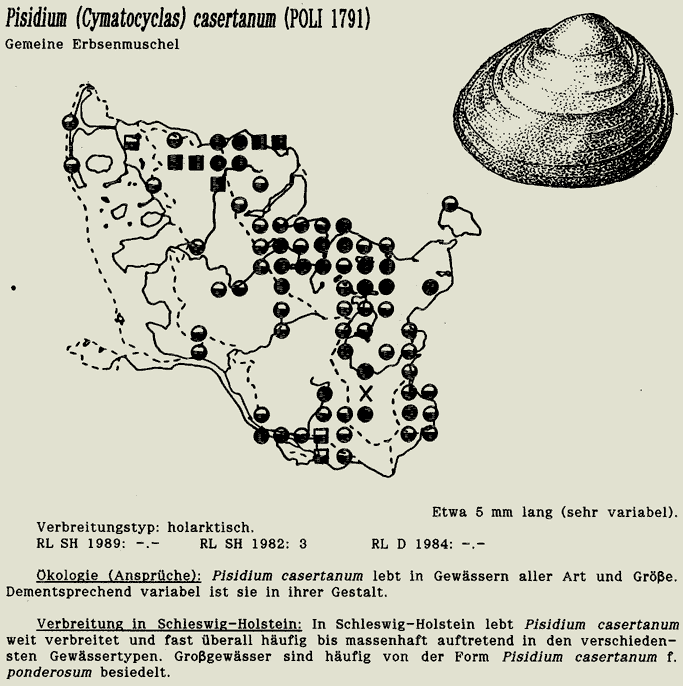 map c LANU-Schleswig-Holstein       drawing  c Projektgruppe Molluskenkartierung 