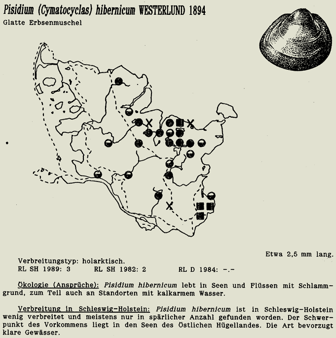 map c LANU-Schleswig-Holstein       drawing  c Projektgruppe Molluskenkartierung 