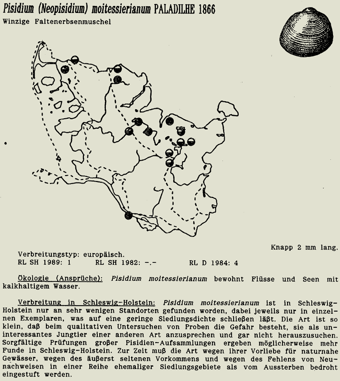 map c LANU-Schleswig-Holstein       drawing  c Projektgruppe Molluskenkartierung 