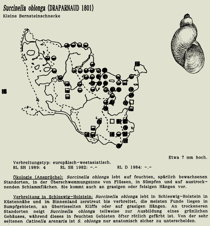 map c LANU-Schleswig-Holstein       drawing  c Projektgruppe Molluskenkartierung 