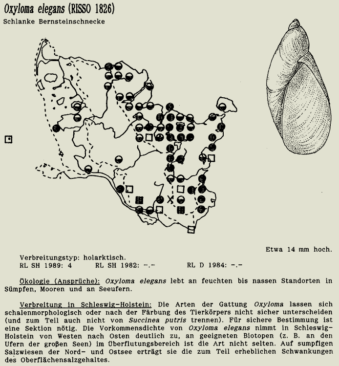 map c LANU-Schleswig-Holstein       drawing  c Projektgruppe Molluskenkartierung 