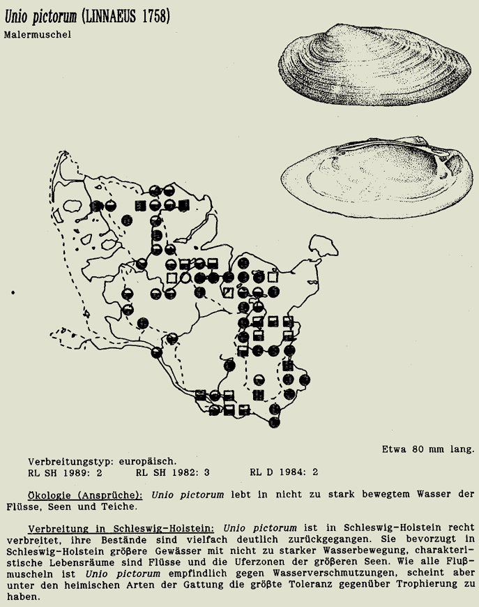 map c LANU-Schleswig-Holstein       drawing  c Projektgruppe Molluskenkartierung 