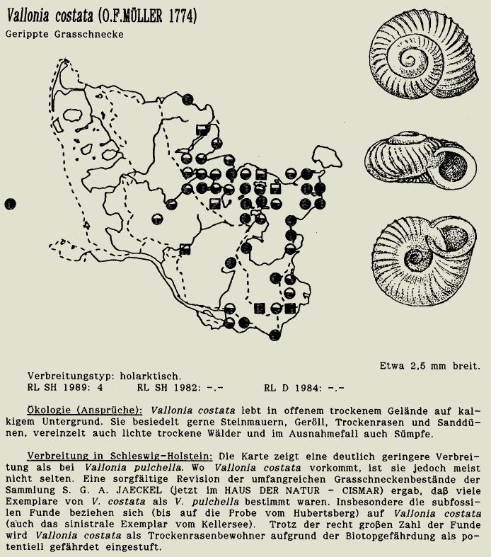 map c LANU-Schleswig-Holstein       drawing  c Projektgruppe Molluskenkartierung 