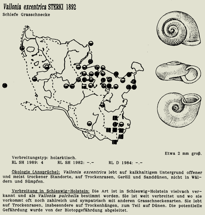 map c LANU-Schleswig-Holstein       drawing  c Projektgruppe Molluskenkartierung 