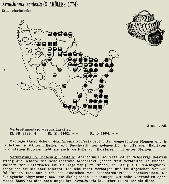 map c LANU-Schleswig-Holstein       drawing  c Projektgruppe Molluskenkartierung 