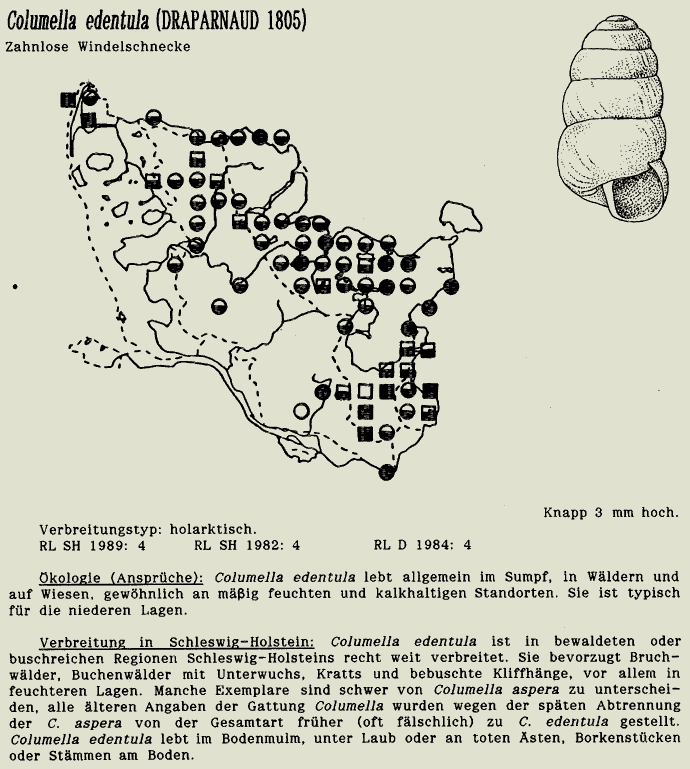 map c LANU-Schleswig-Holstein       drawing  c Projektgruppe Molluskenkartierung 