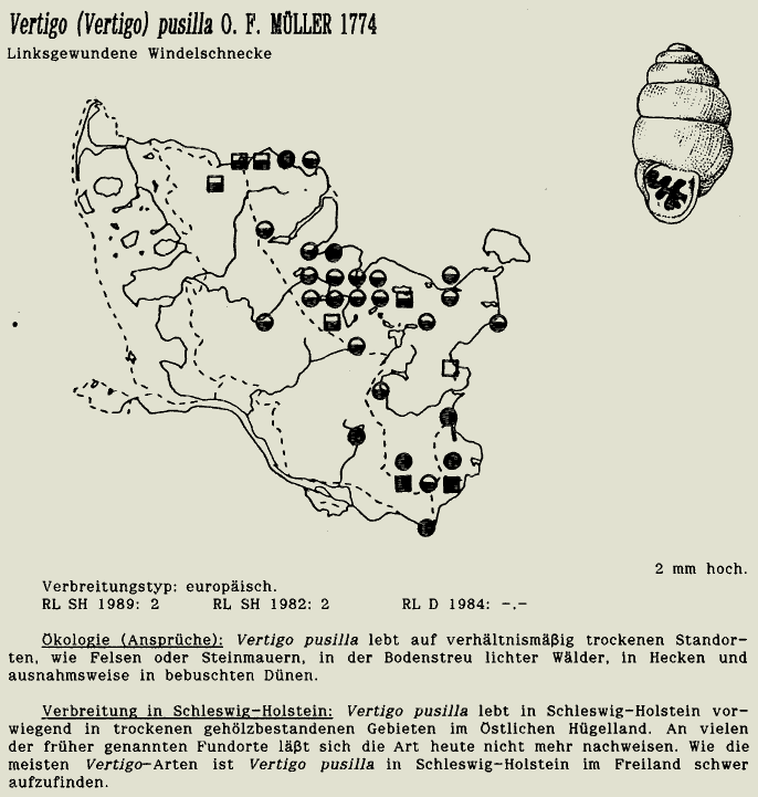 map c LANU-Schleswig-Holstein       drawing  c Projektgruppe Molluskenkartierung 