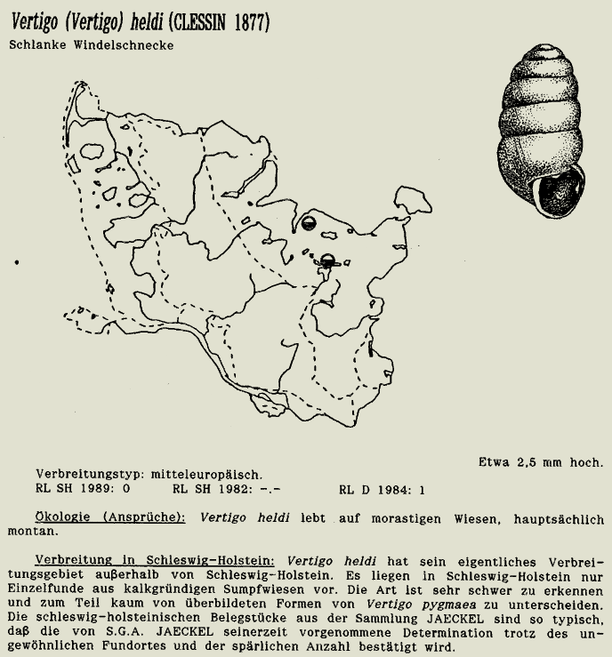 map c LANU-Schleswig-Holstein       drawing  c Projektgruppe Molluskenkartierung 