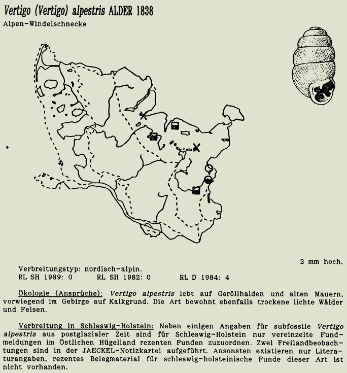 map c LANU-Schleswig-Holstein       drawing  c Projektgruppe Molluskenkartierung 