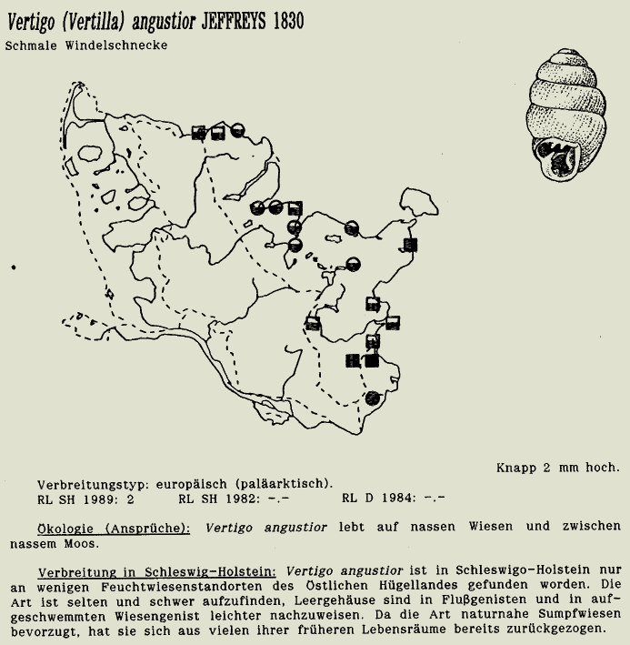 map c LANU-Schleswig-Holstein       drawing  c Projektgruppe Molluskenkartierung 