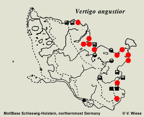 Map  c  V. Wiese