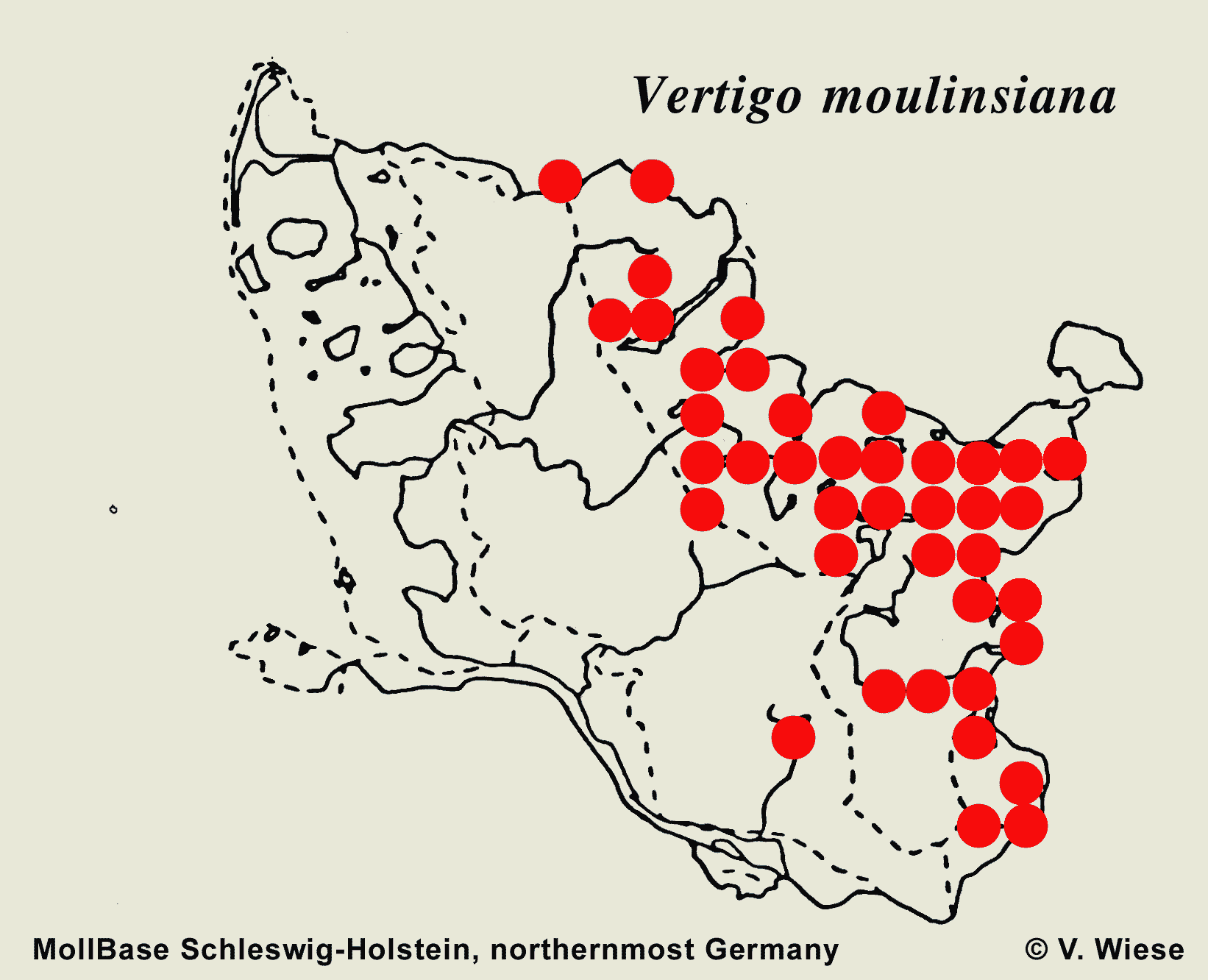 Map  c  V. Wiese