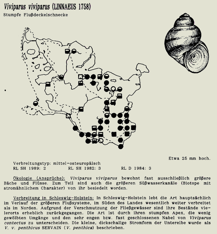 map c LANU-Schleswig-Holstein       drawing  c Projektgruppe Molluskenkartierung 