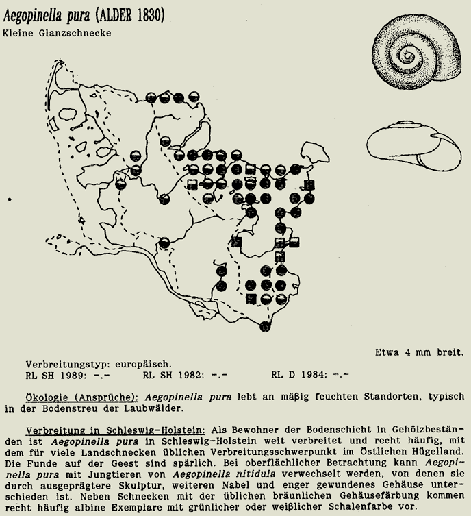 map c LANU-Schleswig-Holstein       drawing  c Projektgruppe Molluskenkartierung 