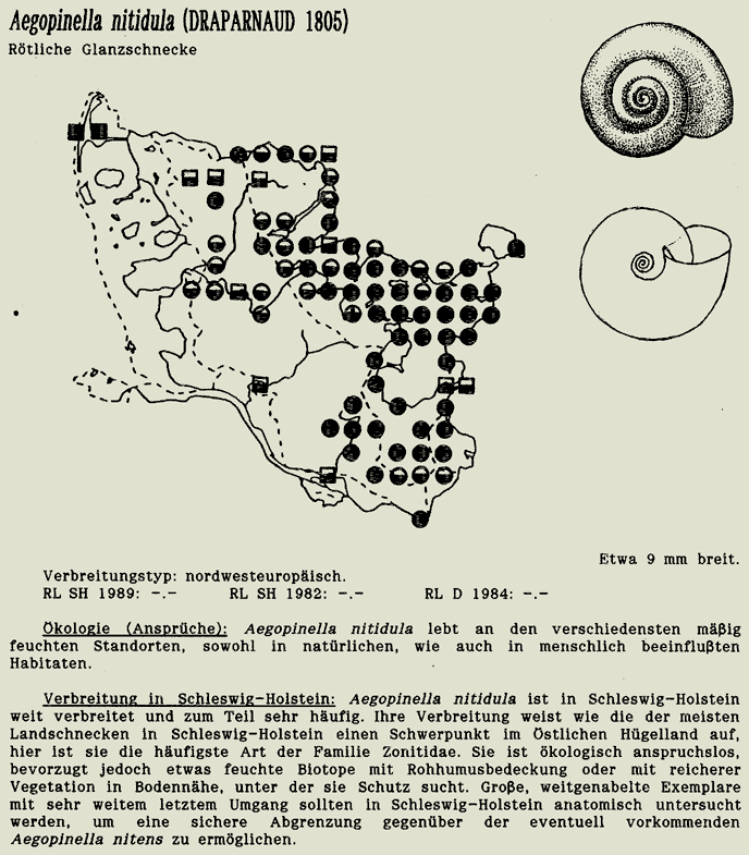 map c LANU-Schleswig-Holstein       drawing  c Projektgruppe Molluskenkartierung 