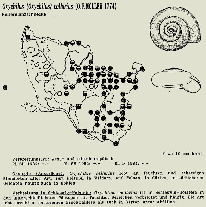 map c LANU-Schleswig-Holstein       drawing  c Projektgruppe Molluskenkartierung 