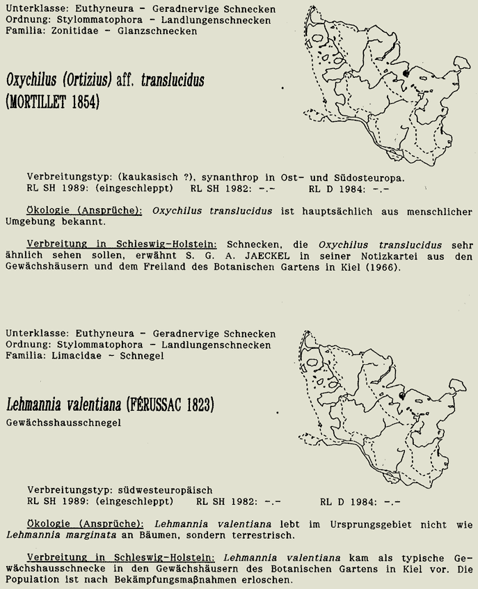 map c LANU-Schleswig-Holstein       drawing  c Projektgruppe Molluskenkartierung 